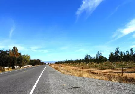 23420 Gyle Rd, Gerber, CA 96035 photo 2