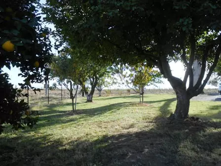23420 Gyle Rd, Gerber, CA 96035 photo 59
