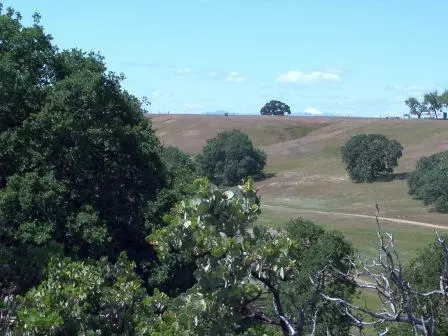11810 Strawberry Ln, Red Bluff, CA 96080 photo 8