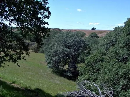 11810 Strawberry Ln, Red Bluff, CA 96080 photo 9
