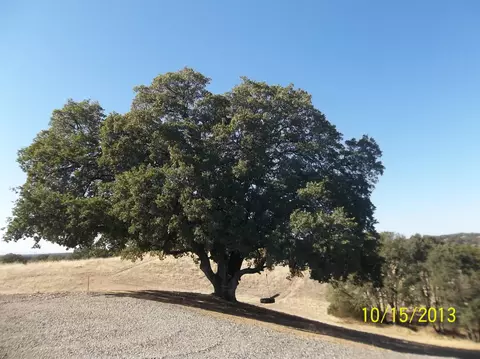 14569 Mccoy Rd, Red Bluff, CA 96080 photo 24