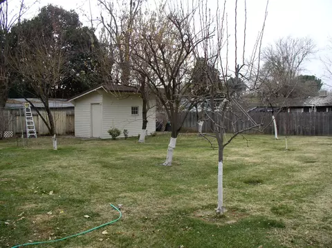 3362 Bardick Rd, Anderson, CA 96007 photo 12