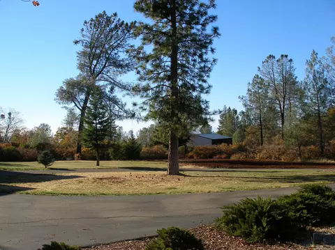 7250 Pine Bluff Dr, Shingletown, CA 96088 photo 65