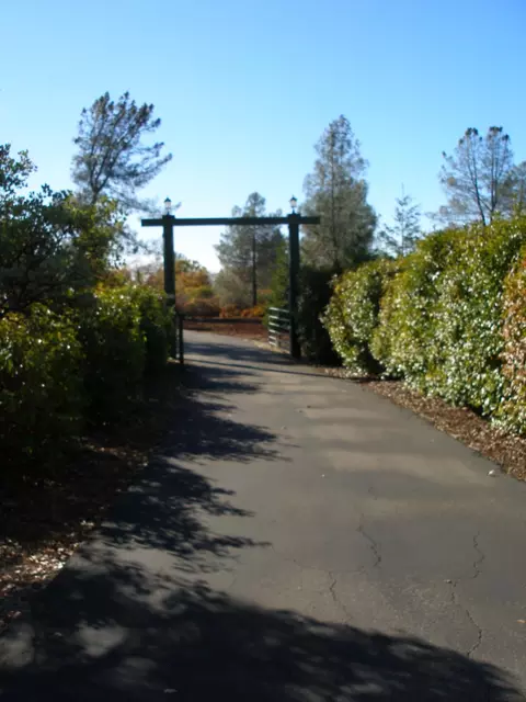 7250 Pine Bluff Dr, Shingletown, CA 96088 photo 56