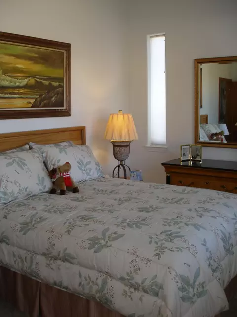 7250 Pine Bluff Dr, Shingletown, CA 96088 photo 41