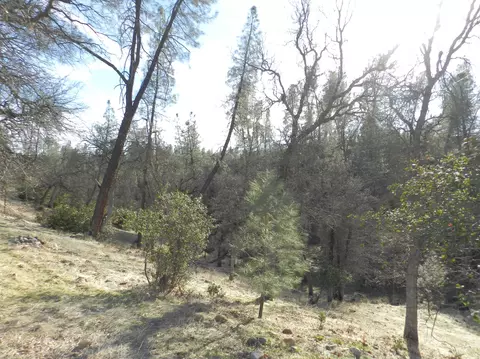 15043 Diggins Way, Redding, CA 96001 photo 28
