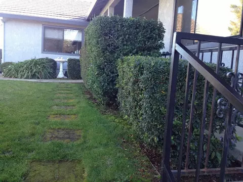 2902 Panorama Dr, Redding, CA 96003 photo 32