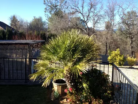 2902 Panorama Dr, Redding, CA 96003 photo 26