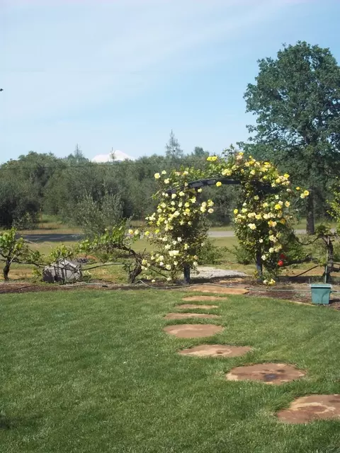 16699 Scout Ave, Anderson, CA 96007 photo 2