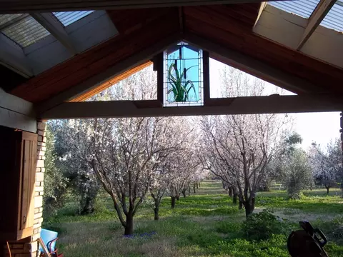 16699 Scout Ave, Anderson, CA 96007 photo 3