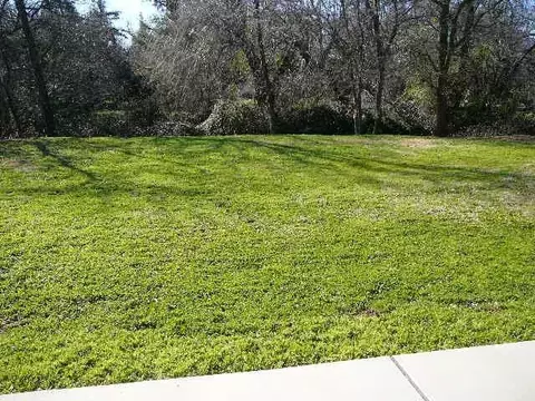 5592 Mill Pond Ln, Redding, CA 96001 photo 13