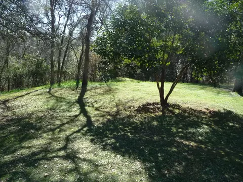 7285 Bohn Blvd, Anderson, CA 96007 photo 10