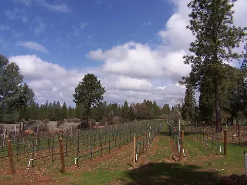 21716 Graham Rd, Manton, CA 96059 photo 13