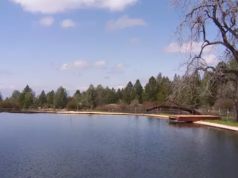 21716 Graham Rd, Manton, CA 96059 photo 3