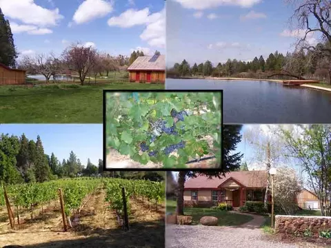 21716 Graham Rd, Manton, CA 96059 photo 21