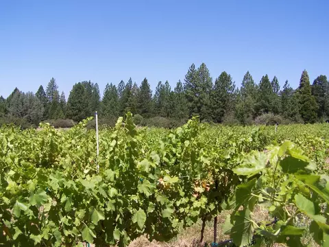 21716 Graham Rd, Manton, CA 96059 photo 25