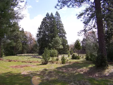 21716 Graham Rd, Manton, CA 96059 photo 14