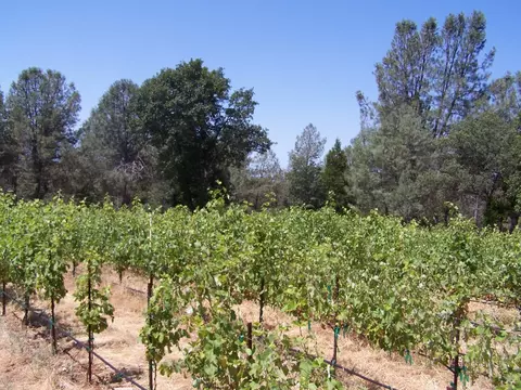 21716 Graham Rd, Manton, CA 96059 photo 27