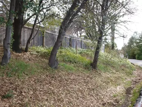 3678 Bechelli, Redding, CA 96002 photo 100