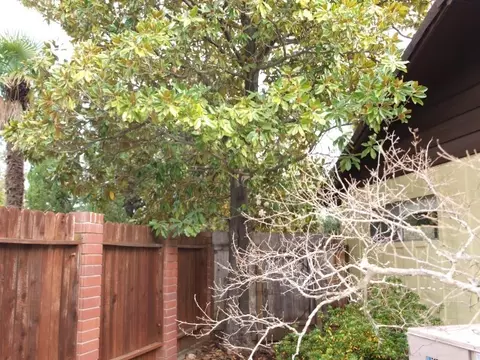 3678 Bechelli, Redding, CA 96002 photo 77
