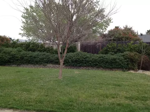 865 Springer, Redding, CA 96002 photo 6