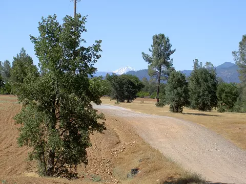 11100 E Stillwater Way, Redding, CA 96003 photo 34