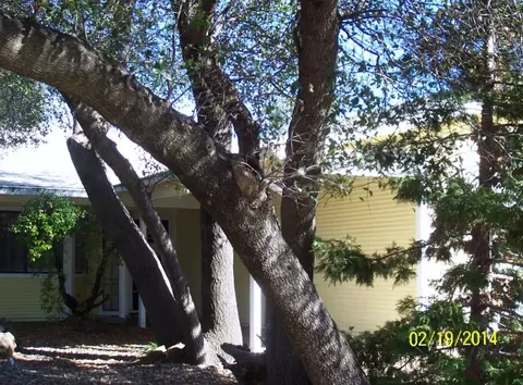 1658 Galaxy Way, Redding, CA 96002 photo 2