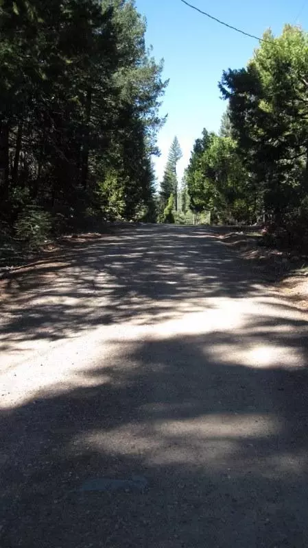 34644 State Highway 44, Shingletown, CA 96088 photo 99