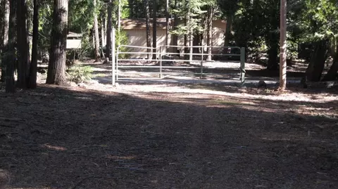 34644 State Highway 44, Shingletown, CA 96088 photo 96