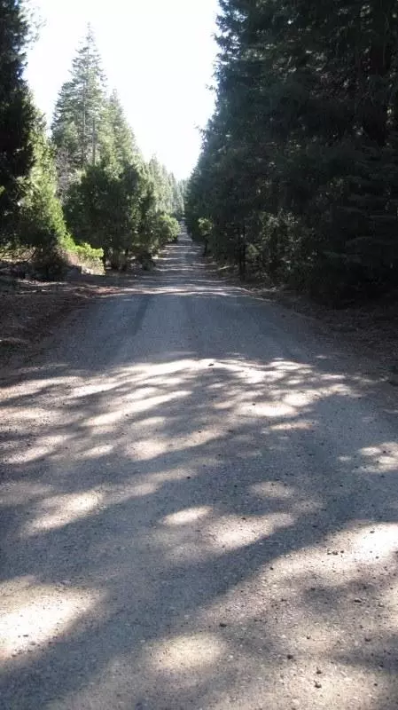 34644 State Highway 44, Shingletown, CA 96088 photo 98