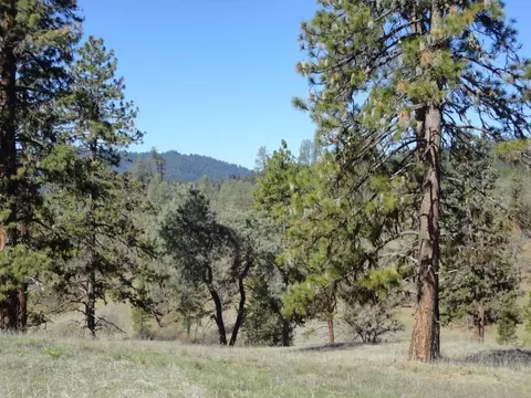 431 Vista Ln, Hayfork, CA 96041 photo 10
