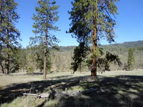 431 Vista Ln, Hayfork, CA 96041 photo 5