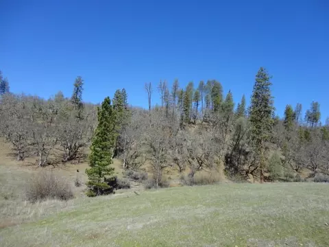 431 Vista Ln, Hayfork, CA 96041 photo 23