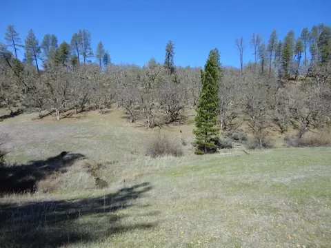 431 Vista Ln, Hayfork, CA 96041 photo 19