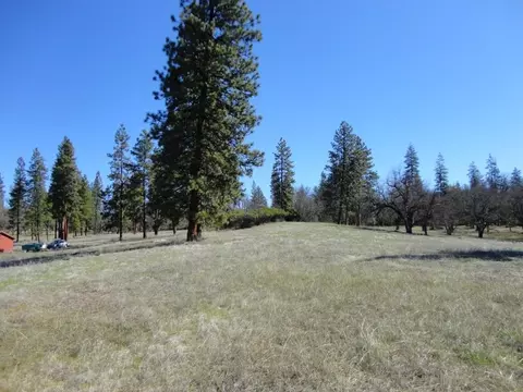 431 Vista Ln, Hayfork, CA 96041 photo 4