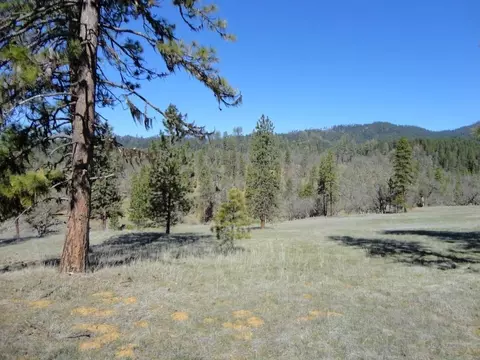 431 Vista Ln, Hayfork, CA 96041 photo 12
