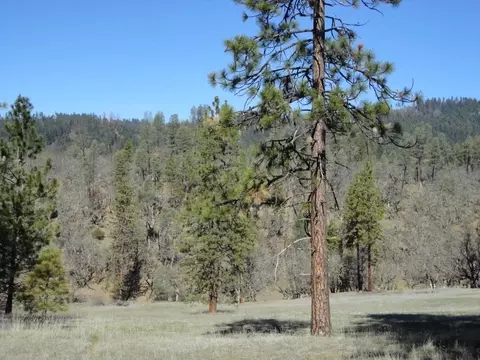 431 Vista Ln, Hayfork, CA 96041 photo 9