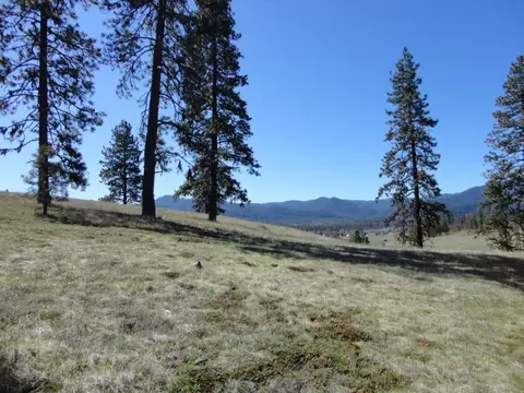 431 Vista Ln, Hayfork, CA 96041 photo 16