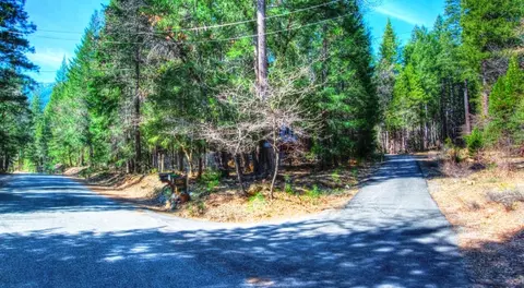 1351 Eagle Creek Loop, Coffee Creek, CA 96091 photo 39