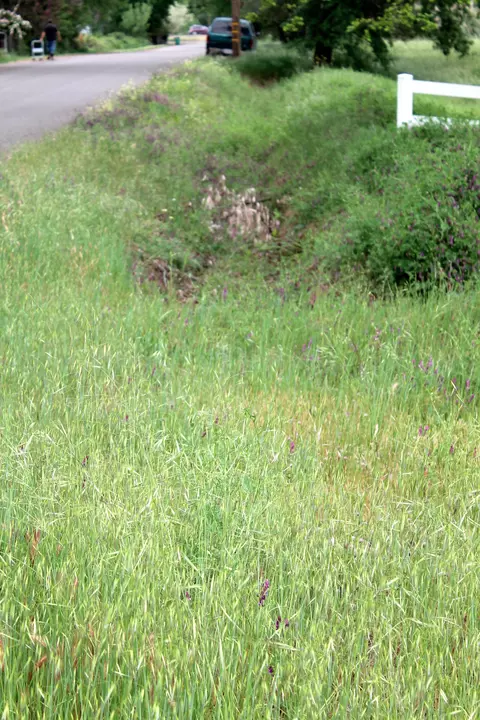 19191 W Niles Ln, Redding, CA 96002 photo 111