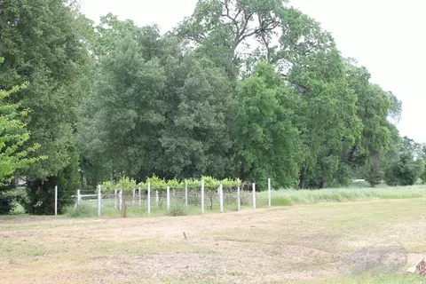 19191 W Niles Ln, Redding, CA 96002 photo 19