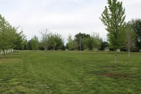 19191 W Niles Ln, Redding, CA 96002 photo 99
