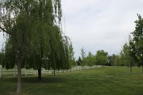 19191 W Niles Ln, Redding, CA 96002 photo 93