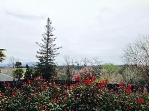 315 Springer Dr, Redding, CA 96003 photo 20