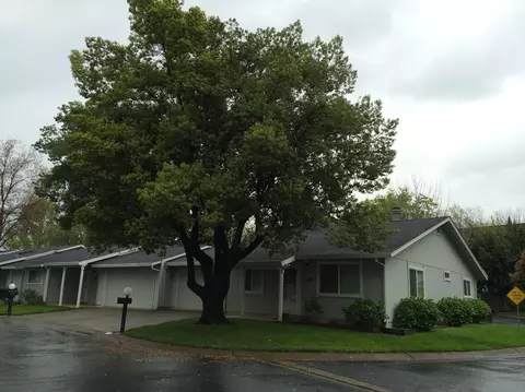 1888 Del Mar Ave, Redding, CA 96003 photo 23