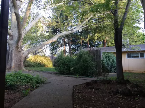 4952 Alta Camino Dr, Redding, CA 96002 photo 35
