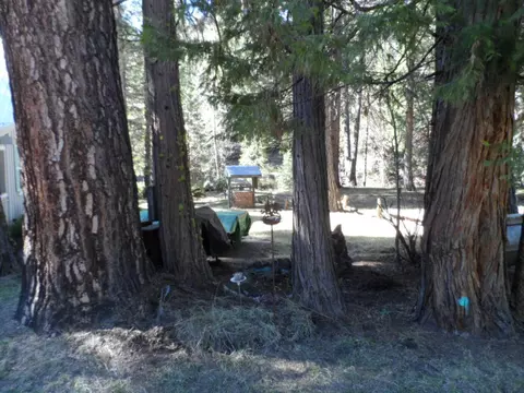7518 Red Eagle Rd, Shingletown, CA 96088 photo 21