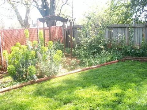 2303 Belladonna St, Redding, CA 96002 photo 22