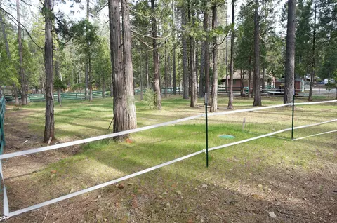 390 430 S Derrick Flat Rd, Coffee Creek, CA 96091 photo 2