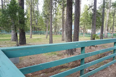 390 430 S Derrick Flat Rd, Coffee Creek, CA 96091 photo 5